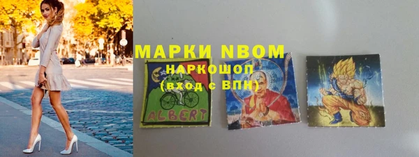 стаф Аркадак