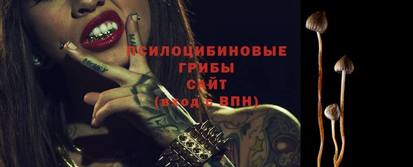 PSILOCYBIN Армянск