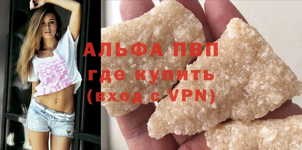 стаф Аркадак