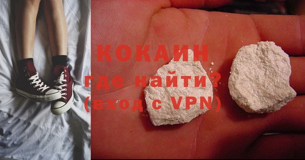 стаф Аркадак