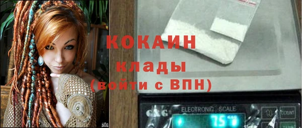 стаф Аркадак