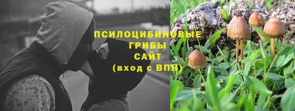 PSILOCYBIN Армянск