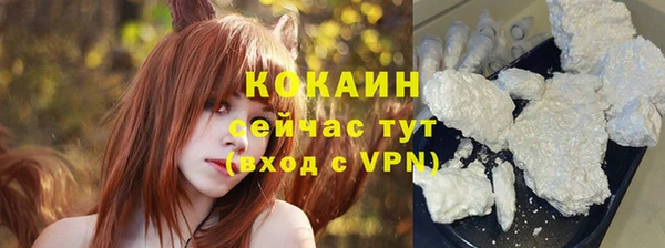 стаф Аркадак