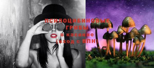 PSILOCYBIN Армянск